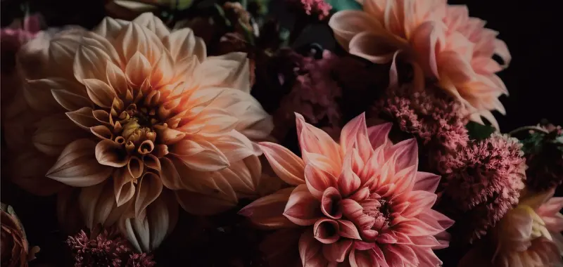 Benken Garden Center, Florist & Event Venue