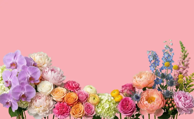 PRESCH Petals