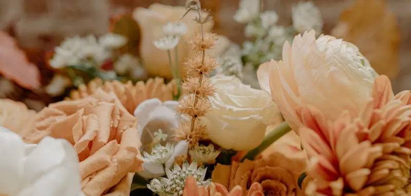 Social Fleur